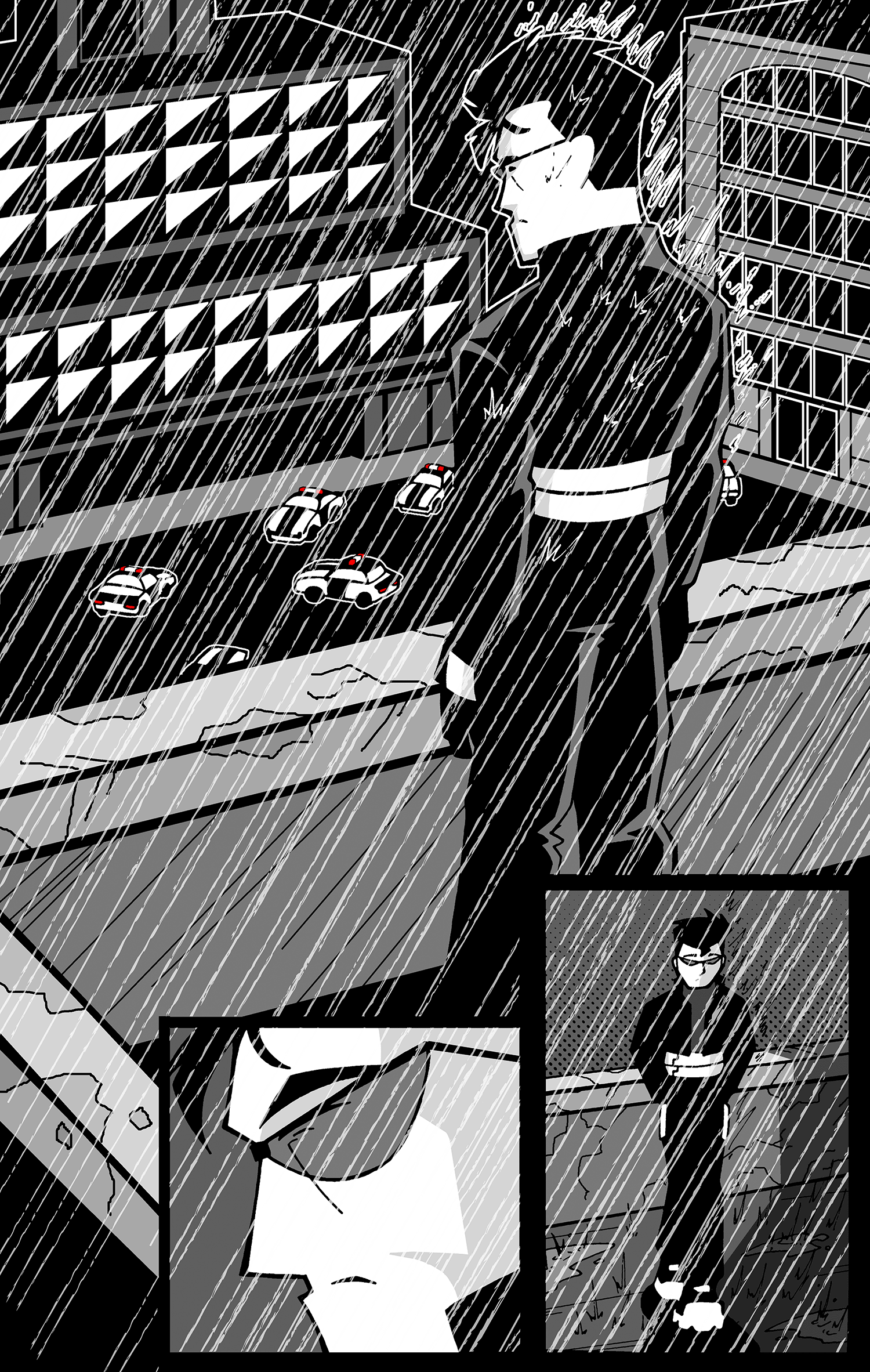 Reckless Life by Tim Demeter