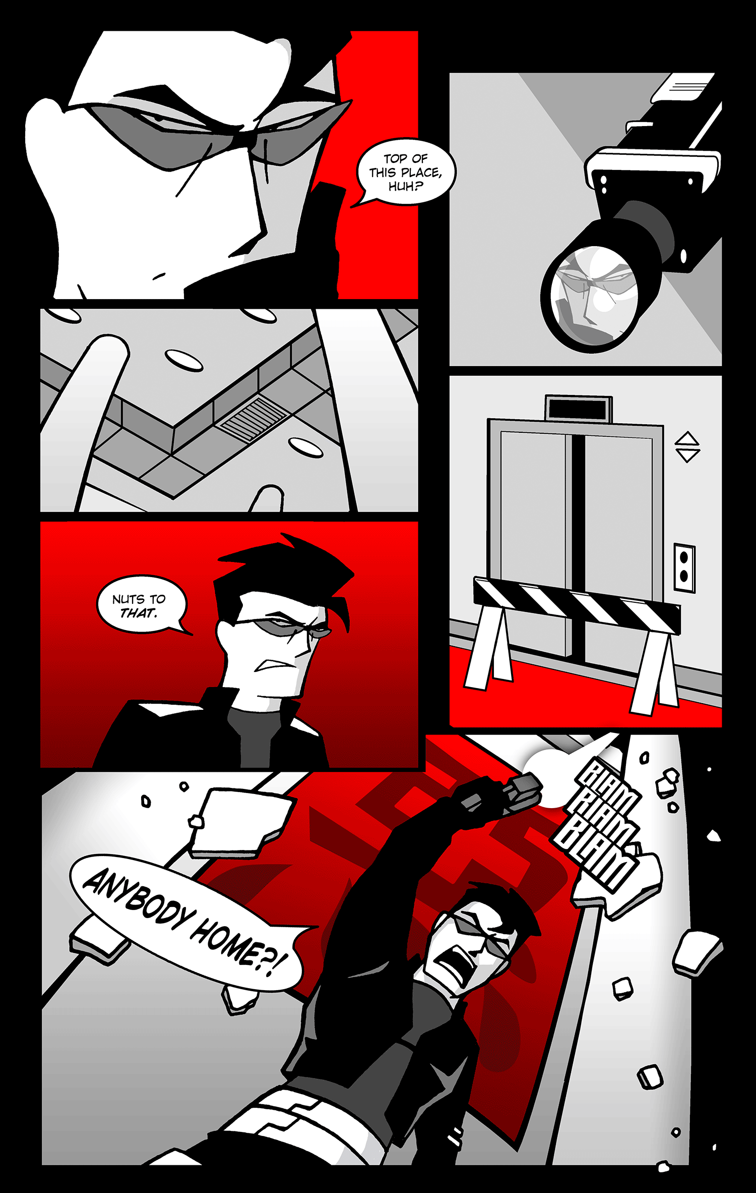 Reckless Life by Tim Demeter