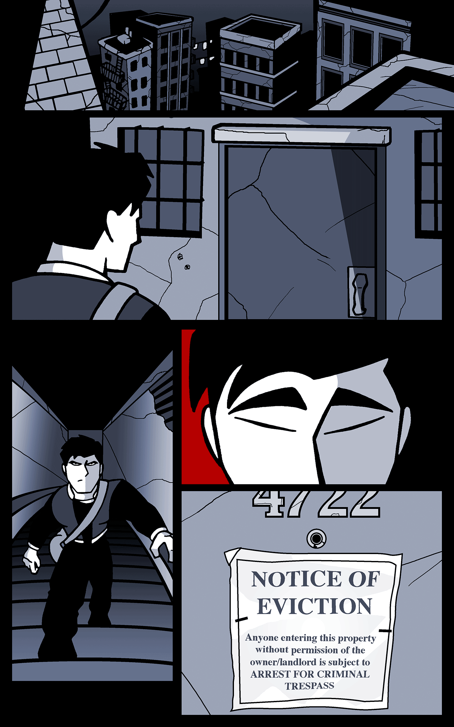 Reckless Life by Tim Demeter